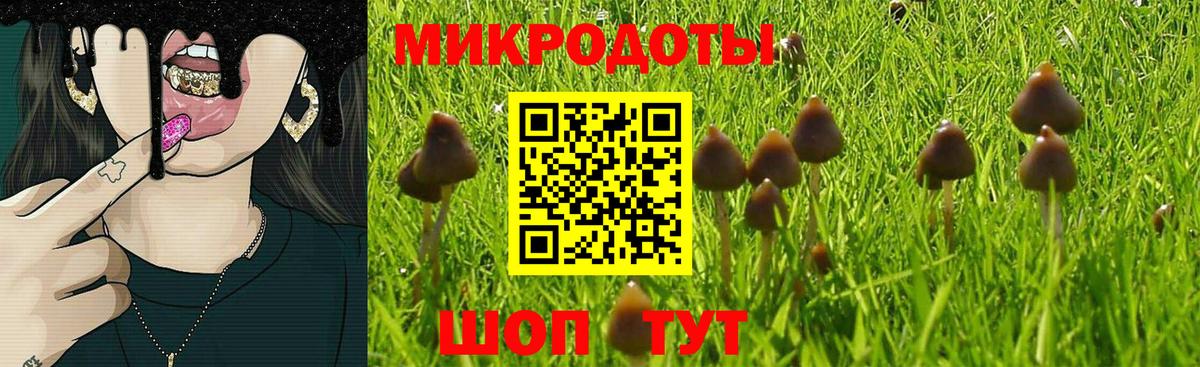 Кинель  Псилоцибиновые грибы MAGIC MUSHROOMS  Вход с VPN 